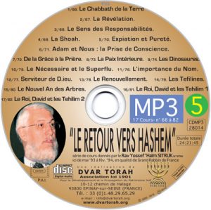 N°5 Les cours 066 à 082 : de "Le Shabbath de la Terre" au "Le Roi David et les Tehilim 2"