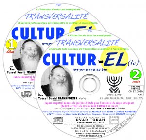Transversalité Cultur-El(le)