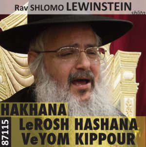 Hakhana LeRosh Hashanna VeYom Kippour