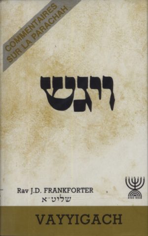 VAYIGACH