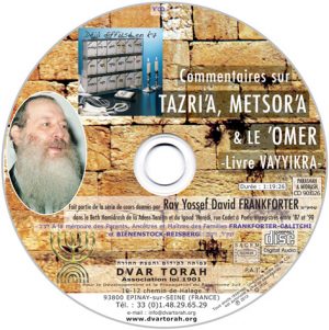 TAZRIA-METSORA