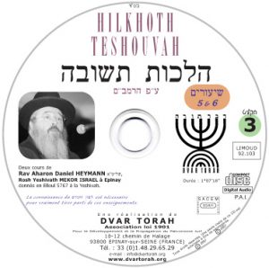Hilkhoth Teshouvah (3)