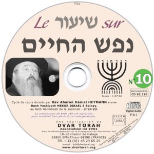 Le Shiour sur Néfesh Ha'Hayim 10