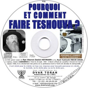 Pourquoi et Comment Faire Techouvah ?