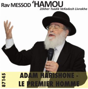 Adam Harishone - Le Premier Homme