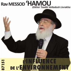 LInfluence de lenvironnement