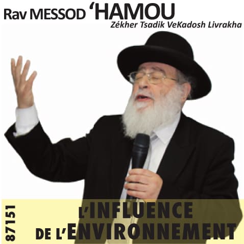 LInfluence de lenvironnement