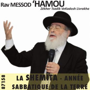 La Shemita - Année Sabbatique - Abandon de la Terre et des Créances
