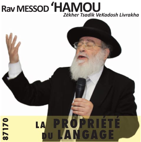 La Propriété du Langage
