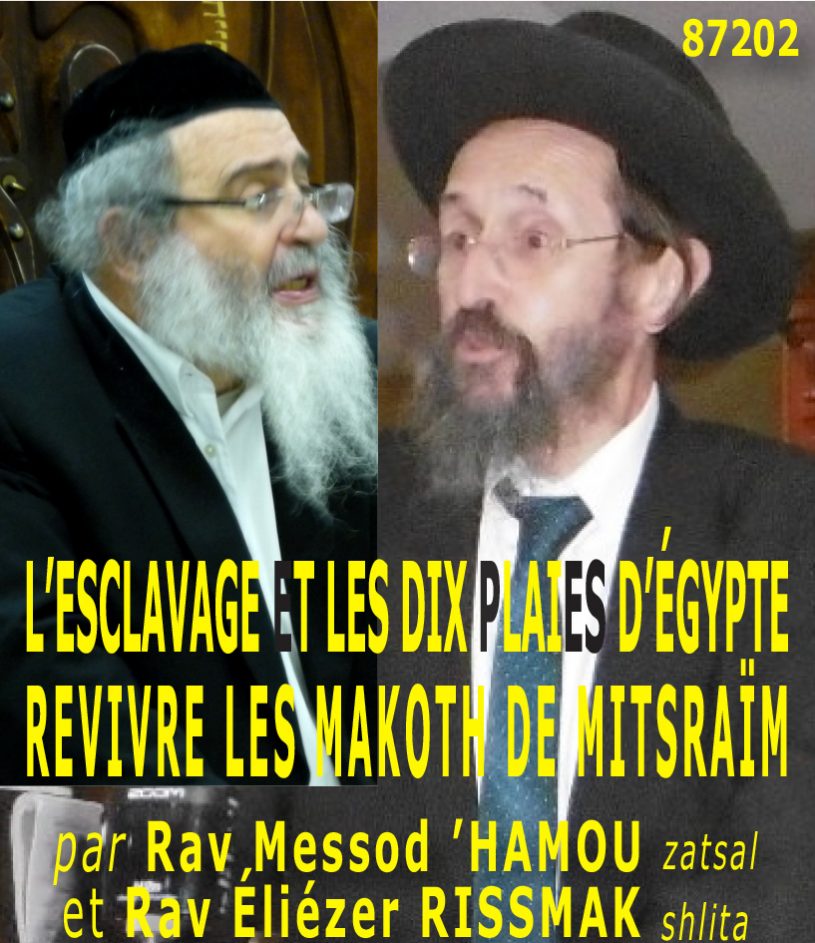 L’ESCLAVAGE ET LES DIX PLAIES D’EGYPTE – REVIVRE LES MAKOTH DE MITSRAÏM