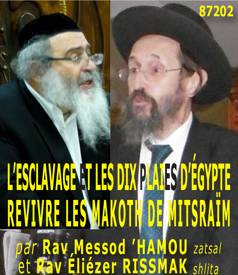 L’ESCLAVAGE ET LES DIX PLAIES D’EGYPTE – REVIVRE LES MAKOTH DE MITSRAÏM