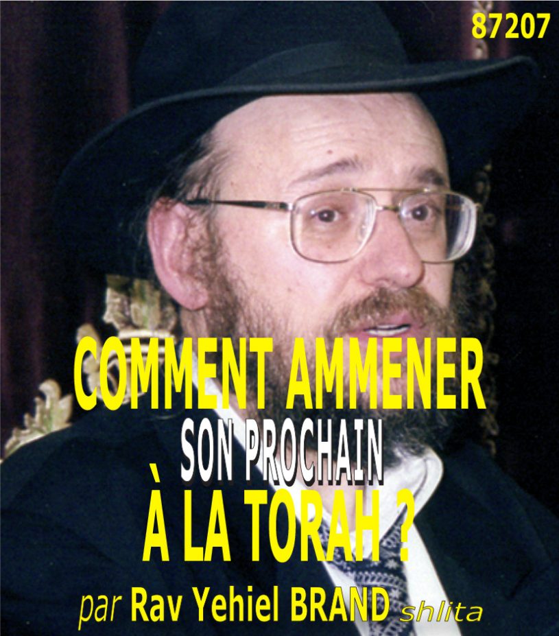 Téléchargement de : COMMENT AMMENER SON PROCHAIN À LA TORAH ?