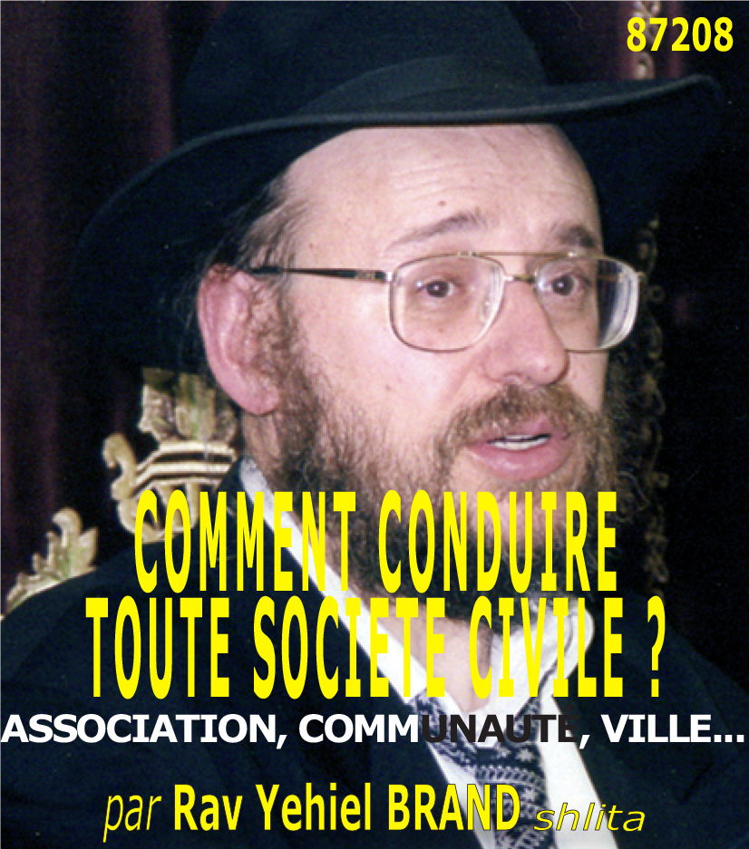 COMMENT CONDUIRE TOUTE SOCIETE CIVILE JUIVE : ASSOCIATION, COMMUNAUTÉ, VILLE, PAYS…